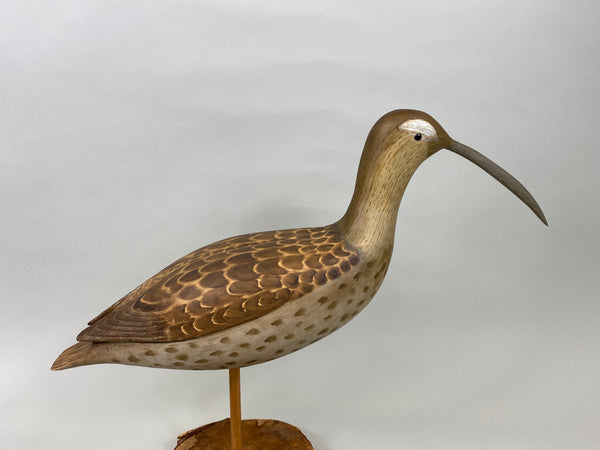 Fred Destri Curlew, Signed (#7038)