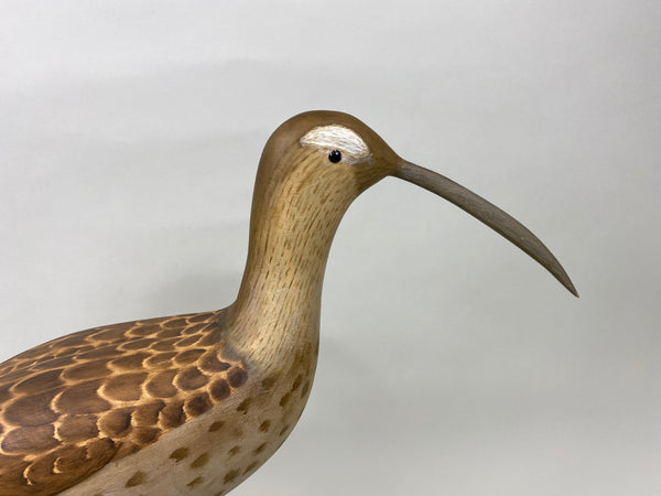 Fred Destri Curlew, Signed (#7038)