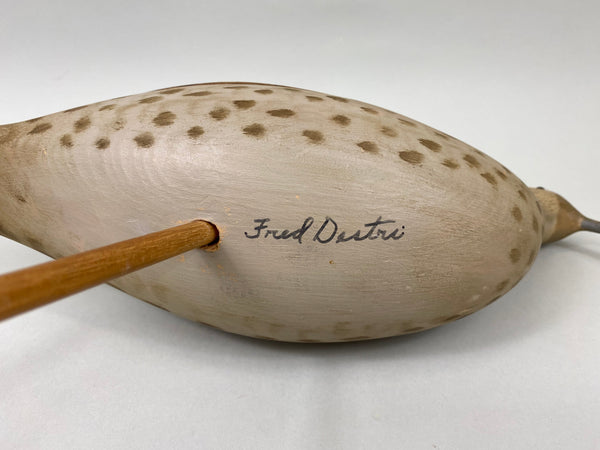 Fred Destri Curlew, Signed (#7038)