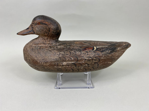 Cliff Reinsager Pintail Hen (#7042)