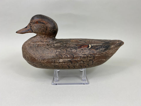 Cliff Reinsager Pintail Hen (#7042)