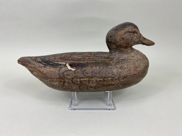 Cliff Reinsager Pintail Hen (#7042)