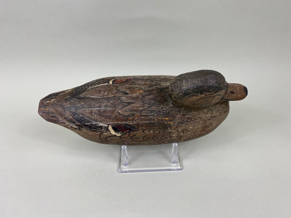 Cliff Reinsager Pintail Hen (#7042)