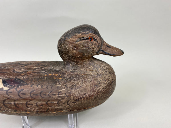 Cliff Reinsager Pintail Hen (#7042)