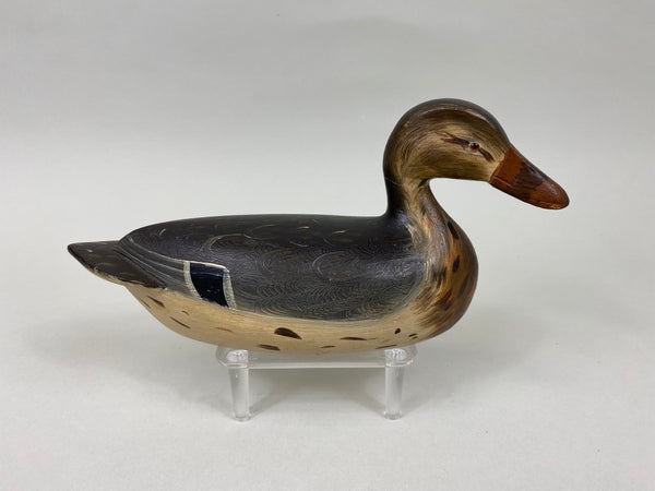 Robert Weeks Third Size Mallard Hen (#7044)