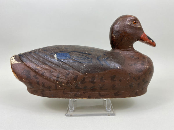 Mississippi River Mallard Hen, Original Paint, Circa 1930's (#7050)