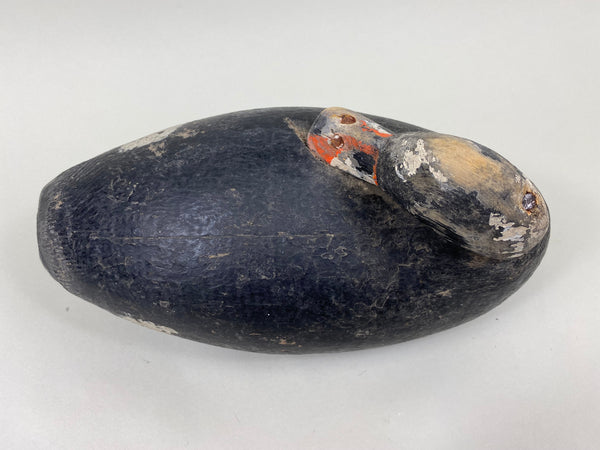 East Coast Preening Scoter (#7108)