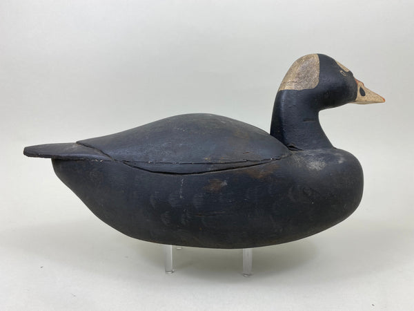 East Coast Scoter, Original Paint, Branded (#7109)