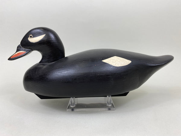 Wildfowler Scoter, Bohemia Stamp, 50th Anniversary Series #68 (#7116)