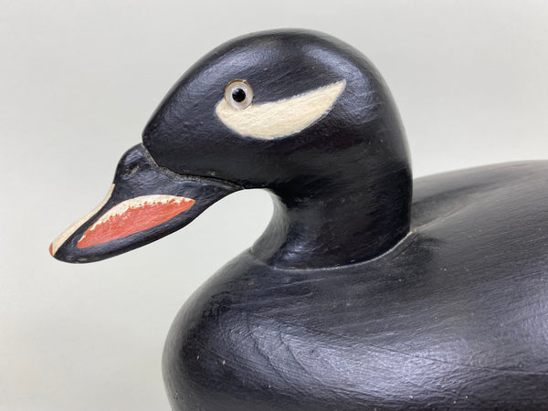 Wildfowler Scoter, Bohemia Stamp, 50th Anniversary Series #68 (#7116)