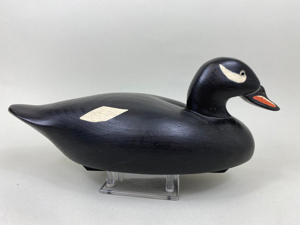 Wildfowler Scoter, Bohemia Stamp, 50th Anniversary Series #68 (#7116)