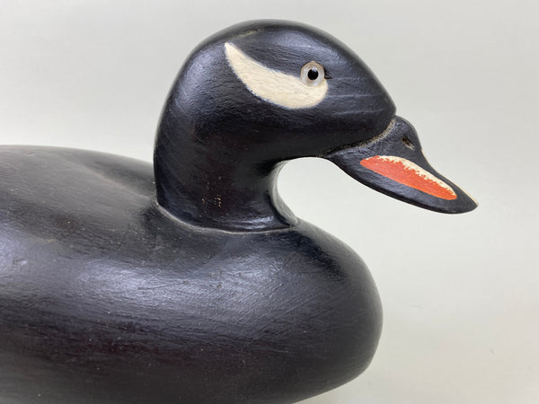 Wildfowler Scoter, Bohemia Stamp, 50th Anniversary Series #68 (#7116)