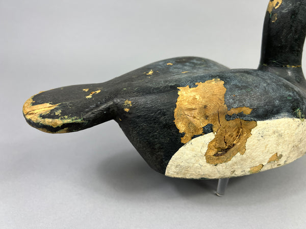 Hector Desmarais High Headed Blue Bill (#5289)