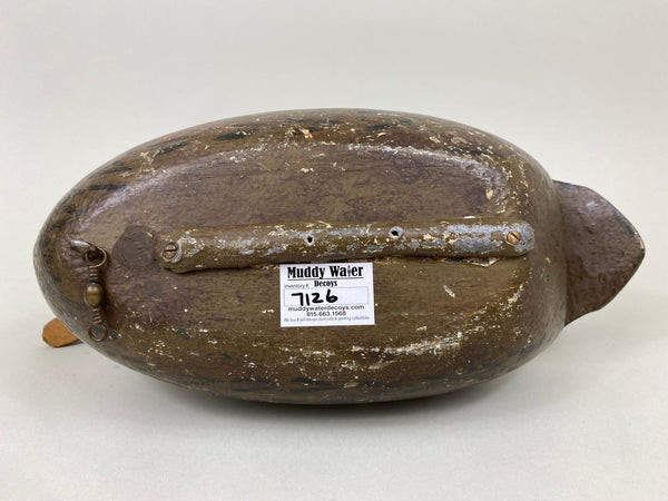 Unknown Illinois River Mallard Hen (#7126)