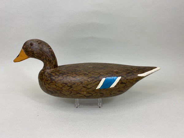 Illinois River Mallard Hen, Circa 1930's (#7127)