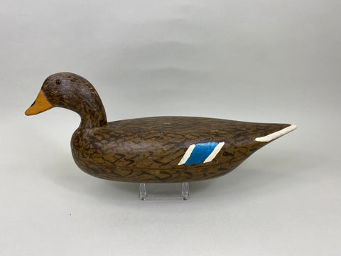 Illinois River Mallard Hen, Circa 1930's (#7127)