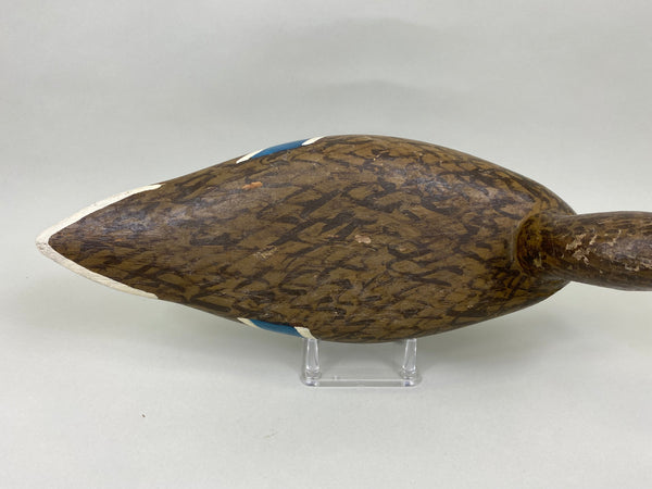 Illinois River Mallard Hen, Circa 1930's (#7127)
