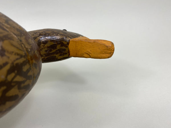 Illinois River Mallard Hen, Circa 1930's (#7127)