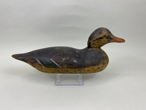 Rare Mason Mallard Hen Tack-Eye (#7129)