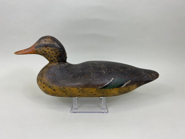 Rare Mason Mallard Hen Tack-Eye (#7129)