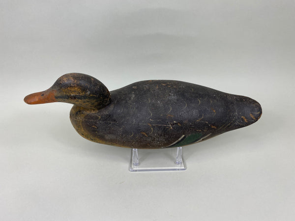 Rare Mason Mallard Hen Tack-Eye (#7129)