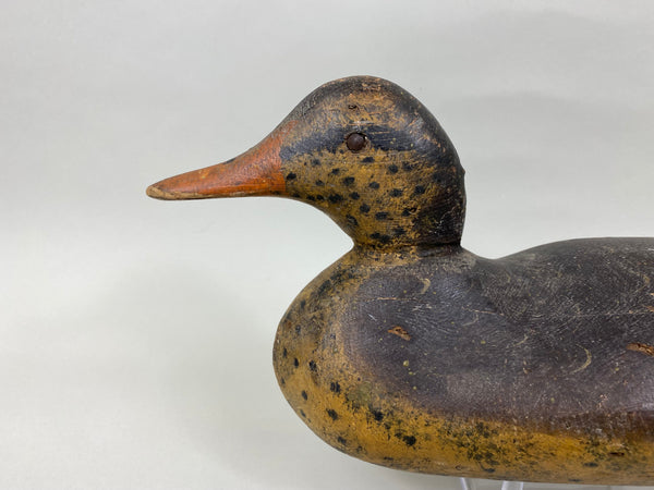 Rare Mason Mallard Hen Tack-Eye (#7129)