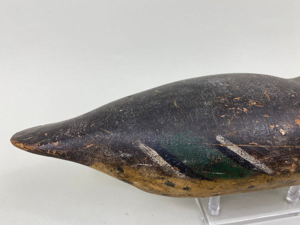 Rare Mason Mallard Hen Tack-Eye (#7129)