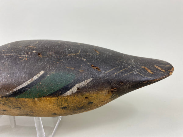 Rare Mason Mallard Hen Tack-Eye (#7129)