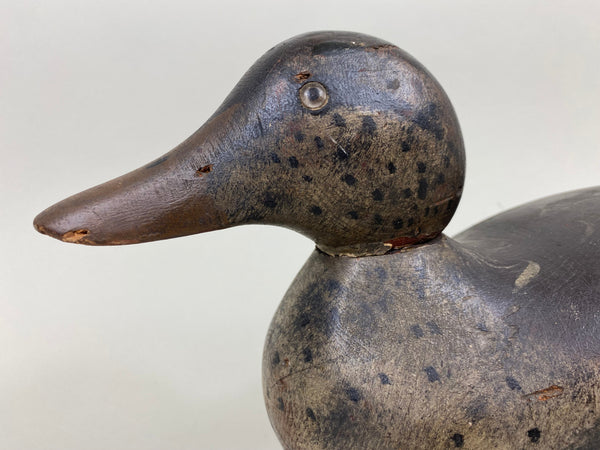 Mason Mallard Hen, Original Paint, Circa 1920's (#7133)