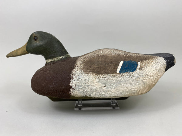 Wally Anderson Mallard Drake, Circa 1940's (#7138)