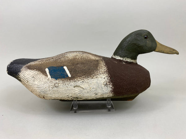 Wally Anderson Mallard Drake, Circa 1940's (#7138)