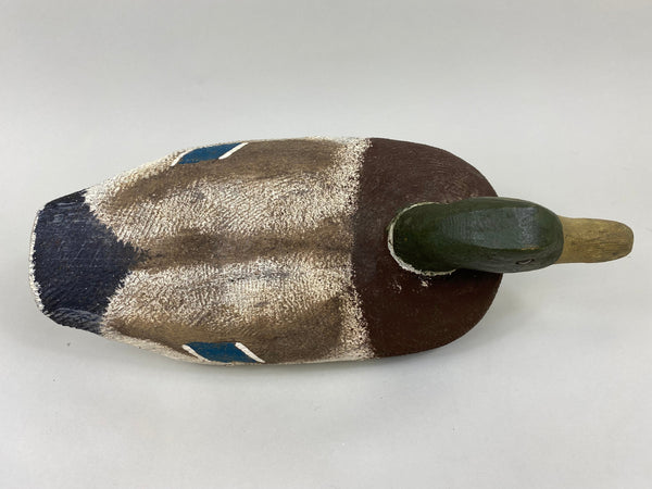 Wally Anderson Mallard Drake, Circa 1940's (#7138)