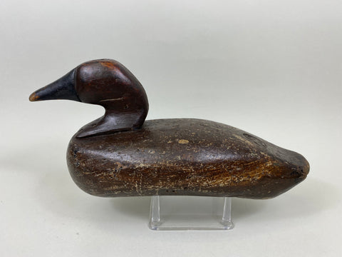 Cabin Camp Canvasback Drake (#7146)
