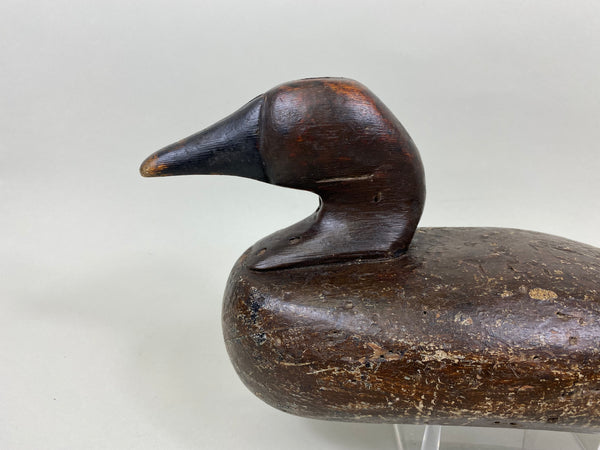 Cabin Camp Canvasback Drake (#7146)