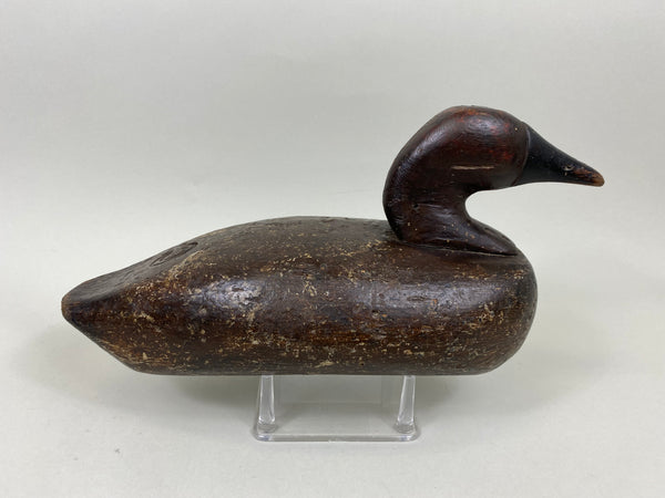 Cabin Camp Canvasback Drake (#7146)