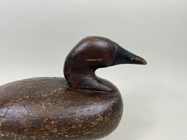 Cabin Camp Canvasback Drake (#7146)