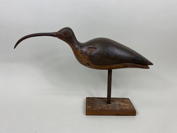 Unknown Curlew (#7147)