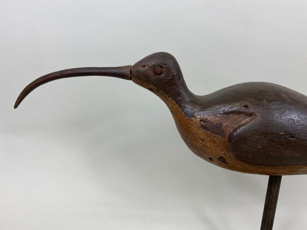 Unknown Curlew (#7147)