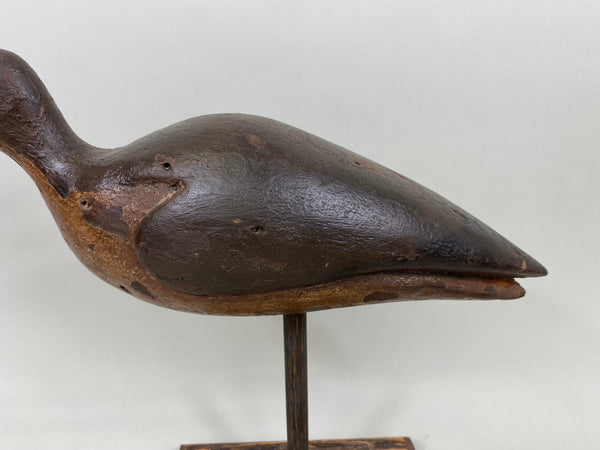 Unknown Curlew (#7147)