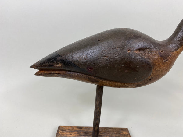 Unknown Curlew (#7147)