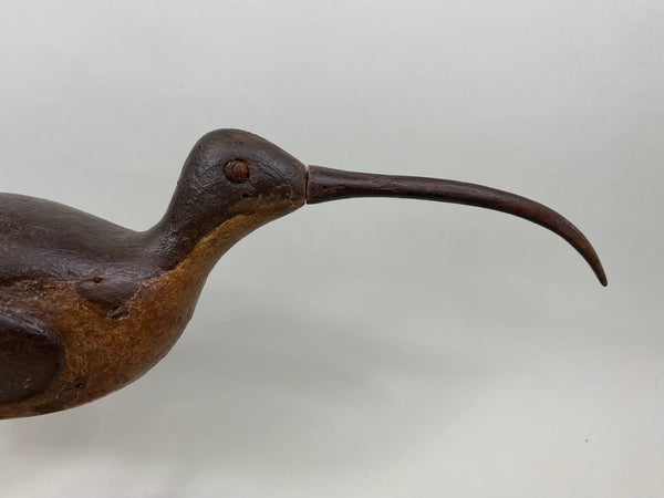 Unknown Curlew (#7147)