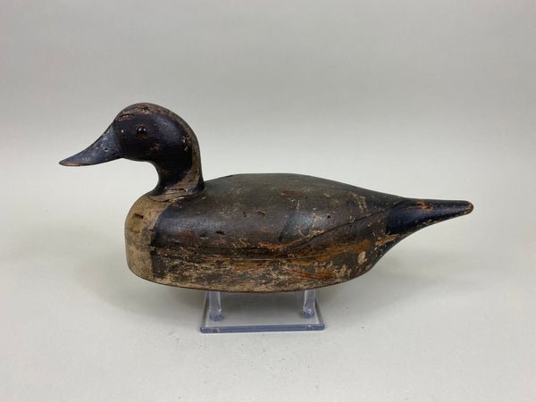 Unknown Undersized Pintail Drake, Circa 1920's (#7150)