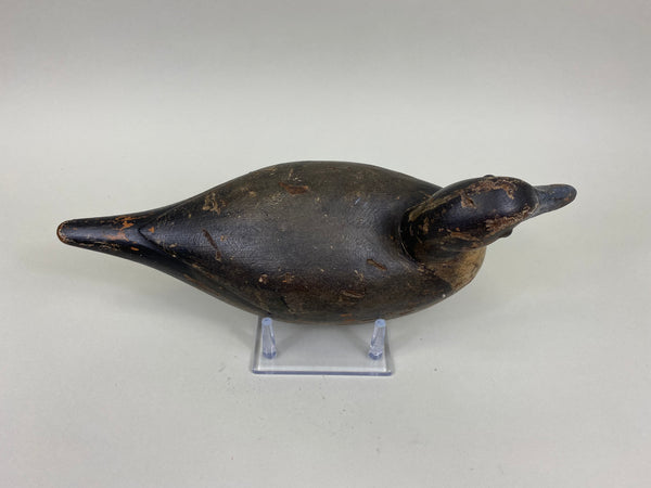 Unknown Undersized Pintail Drake, Circa 1920's (#7150)