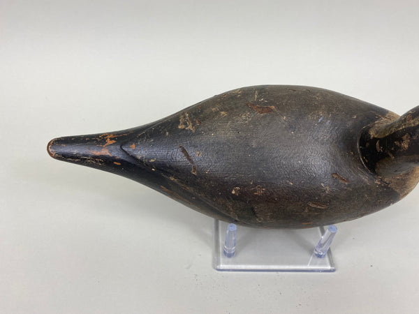 Unknown Undersized Pintail Drake, Circa 1920's (#7150)