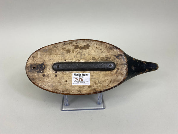 Unknown Undersized Pintail Drake, Circa 1920's (#7150)