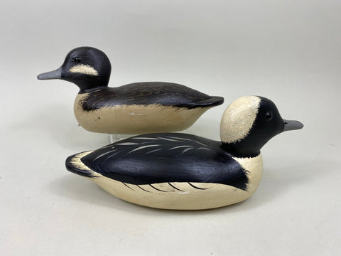Jim Slack Pair Bufflehead (#7151)
