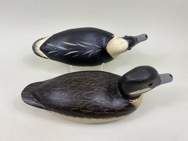 Jim Slack Pair Bufflehead (#7151)