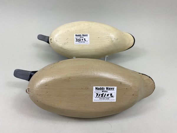 Jim Slack Pair Bufflehead (#7151)