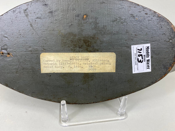 Harold "August" Wilkins Black Duck, Original Paint (#7153)