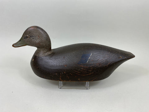 Harold Wilkins Black Duck Original Paint Solid Body (#7155)